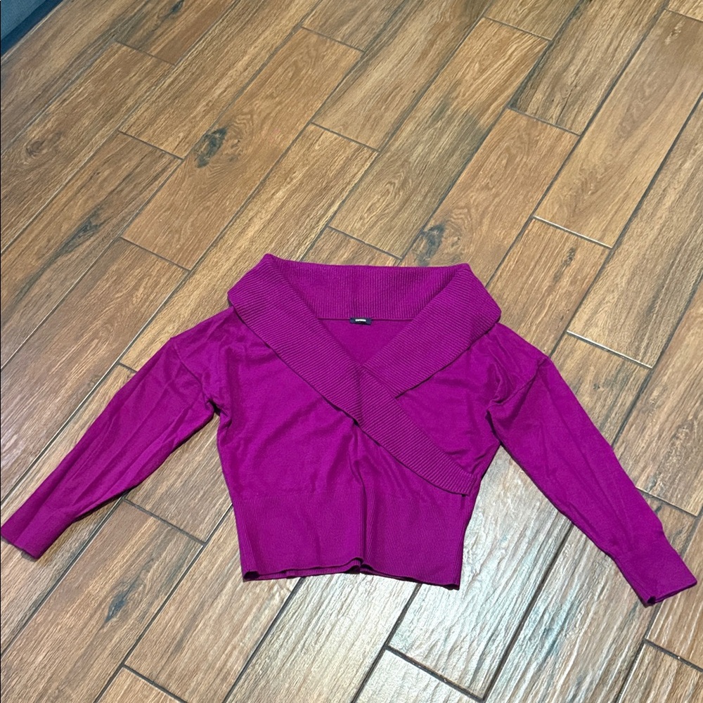 Express Fuchsia Knit Sweater